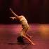 Cie Exuvie - Performances circassiennes  & dansées - Image 2