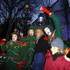 Les Sapins