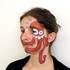 Prosti Roger - Maquillage artistique - Image 4
