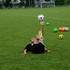 Mouloud freestyle football  - Démonstration / Animation / Initiation au freestyle football - Image 3