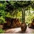 JARDIN BOTANIQUE DE MARNAY SUR SEINE