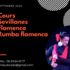 Lynda Andres-Dorado - Professeur de Flamenco et sévillanes - Image 2