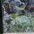 Stage CREATION SUR VERRE  - Image 6