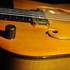 Luthier Alexis Meurice - Fabrique et répare vos instruments de musiqu - Image 4