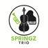 trio Springz - trio trompette- violoncelle- piano