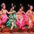Spectacle Cabaret  - Music Hall Avenue de Paris - Image 4