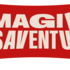 Magie et Mésaventures - spectacle de magie comédie