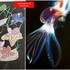 Atelier Carré d'Art's | Stage de dessin et peinture | Gif-sur-Yvette – photo 12
