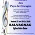 concert de l'orchestre du pays de cocagne de lavaur
