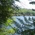 Lac de Guerlédan
