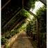 JARDIN BOTANIQUE DE MARNAY SUR SEINE - Image 2