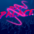 Roxy Palace - Pop-Rock & funk des années 80 & 90