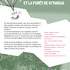 Djoungo et la Forêt de Kytangua - Spectacle pour enfants