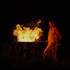 Gwam Art - Compagnie de spectacles et arts visuels - Image 13