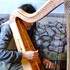 Christophe GUILLEMOT joue et fabrique ses harpes celtiques   - Image 2