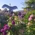 "Rendez-vous aux jardins"
