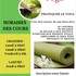 Grandris Yoga - Des cours inspirants