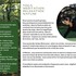 Retraite de yoga dans la nature "Yoga et roue de médecine" - Image 2