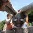 chantier construction insolite - Image 4