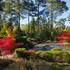 Arboretum des Grandes Bruyères - Image 2