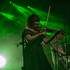 Comrades Irish Band - Musique Irlandaise - Image 4