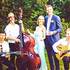 cordes nomades - groupe de jazz manouche - Image 3
