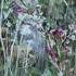 Stage CREATION SUR VERRE  - Image 18