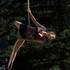 Compagnie Circlips - Eclats de Vies - Image 4