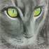 ARTS LOISIRS CREATIONS ORMESSON - Cours dessin-peinture Ados - Image 6