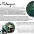 Retraite de yoga dans la nature "Yoga et roue de médecine" - Image 3