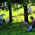 STAGE - DESSIN / PEINTURE en extérieur
