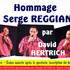 David HERTRICH - Chanteur propose spectacle