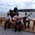 los chulos - groupe de musique gipsy - Image 3
