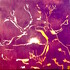 Stage adultes peinture/dessin/techniques mixtes - Image 2