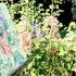 Stage de 4 jours AU JARDIN Aquarelle, PEINTURE,DESSIN, ET...
