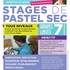 Sylvie Poirson - Stage de pastel sec - Image 4