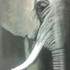ARTS LOISIRS CREATIONS ORMESSON - Cours dessin-peinture Ados - Image 7
