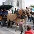Pont en Fête - Promenades en calèche