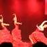 REVUE ET CORYPHEE - cours de danses et recrutement danseurs - Image 3