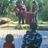 L’Arbre de Loulou - Concert acoustique Jeune Public - Image 2
