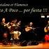 POCO A POCO FLAMENCO & RUMBA - FLAMENCO & RUMBA CATALANE