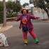 didine clown - Didine clown propage sa joie et sa bonne humeur - Image 11