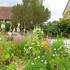 Stage de 4 jours AU JARDIN Aquarelle, PEINTURE,DESSIN, ET... - Image 13