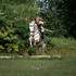 Perrine Vanoutryve - Spectacle Equestre et Feu - Image 4