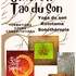 centre le Tao du son - stages, cours, formations, consultations