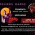 LE FLAMENCO POUR TOUS - FLAMENCO - SEVILLANAS - DANSE GIPSY FIT - Image 4