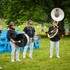 BandaGogo Music - BandaGogo - Image 2