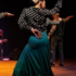 « Soirée solidaire « UN OLÉ POUR EUX » - Image 2
