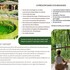 Retraite de yoga dans la nature "Yoga et roue de médecine" - Image 5