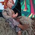 SYLVE, l'enfant de la forêt - Image 4